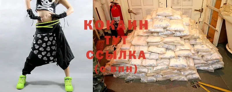 Cocaine FishScale  сколько стоит  mega как зайти  Гагарин 